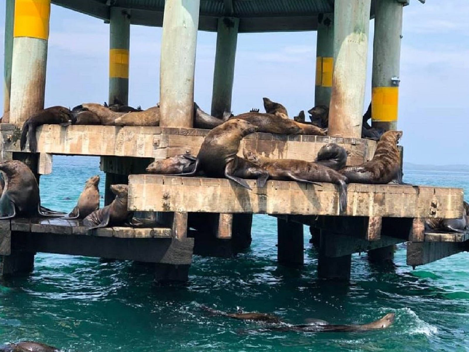 Seals